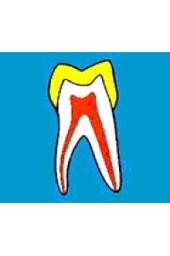 Tændernes og mundhulens kemi  - eksperimenter - UDSALG